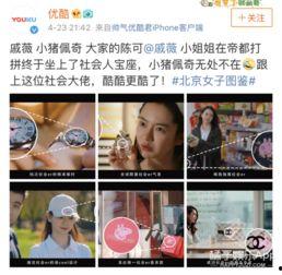 吃瓜猪娱乐视频,揭秘娱乐圈幕后故事